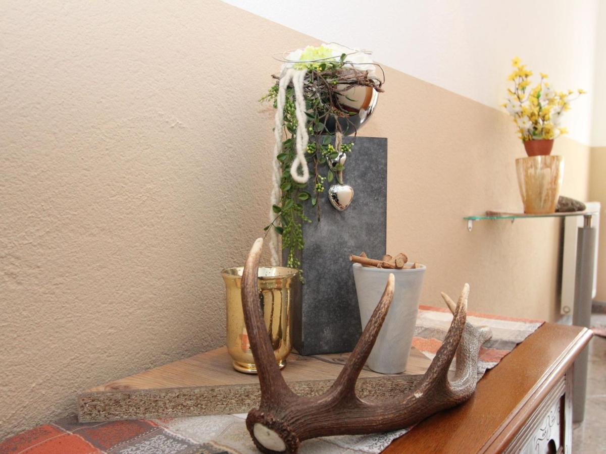 Apartment Schweiberer-3 By Interhome Aschau Im Zillertal Ngoại thất bức ảnh